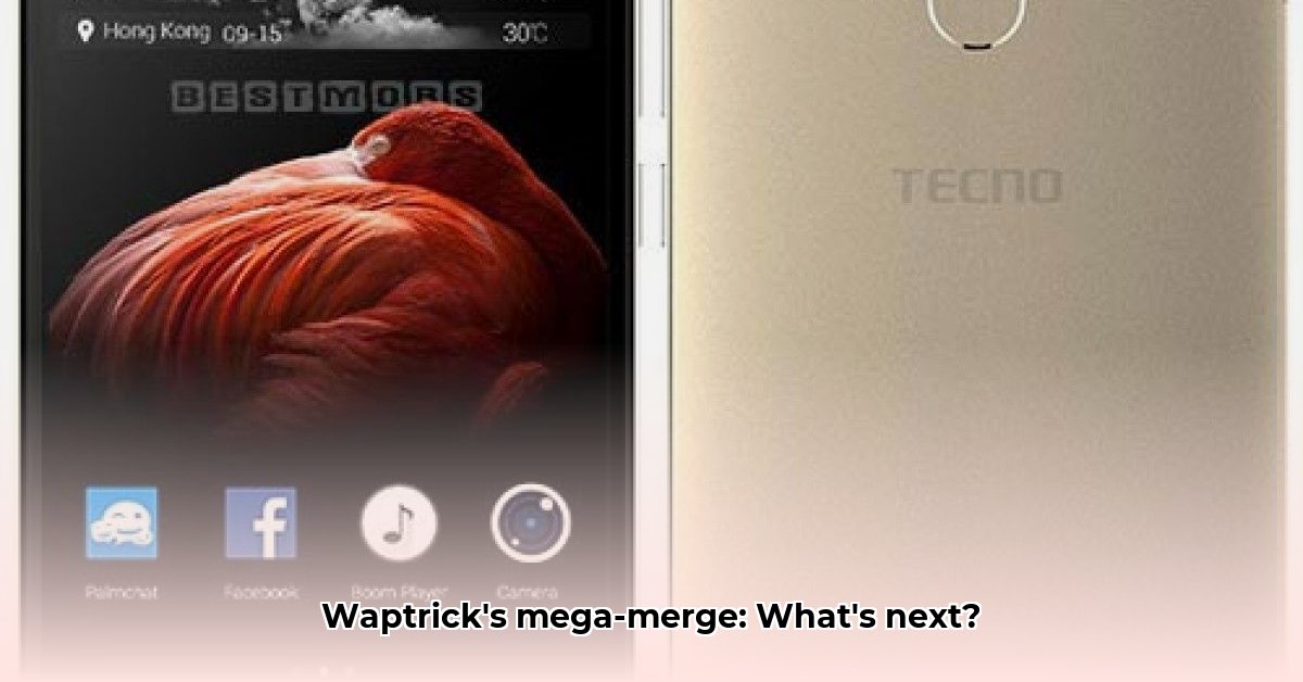 www-waptric-com